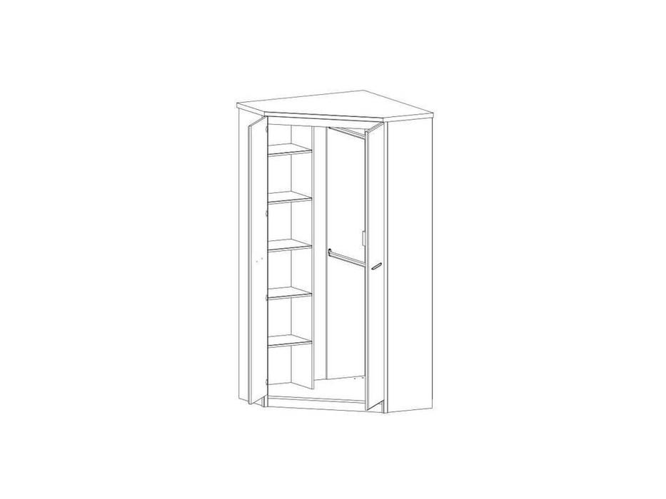 Anrex: Jazz: шкаф 2 дверный угловой (каштан, оникс)